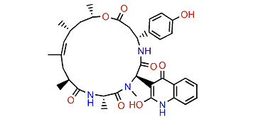 Pipestelide C